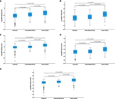 Expression Profiles of Circulating microRNAs in South African Type 2 Diabetic Individuals on Treatment